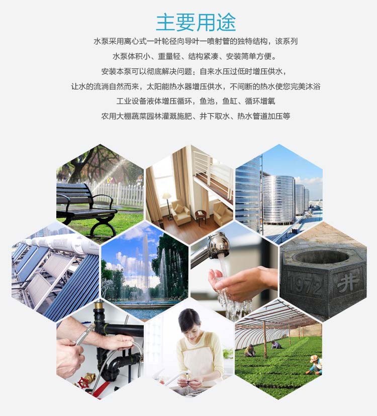 自吸泵/zbd45-0.55/220v/1寸/乐蛙